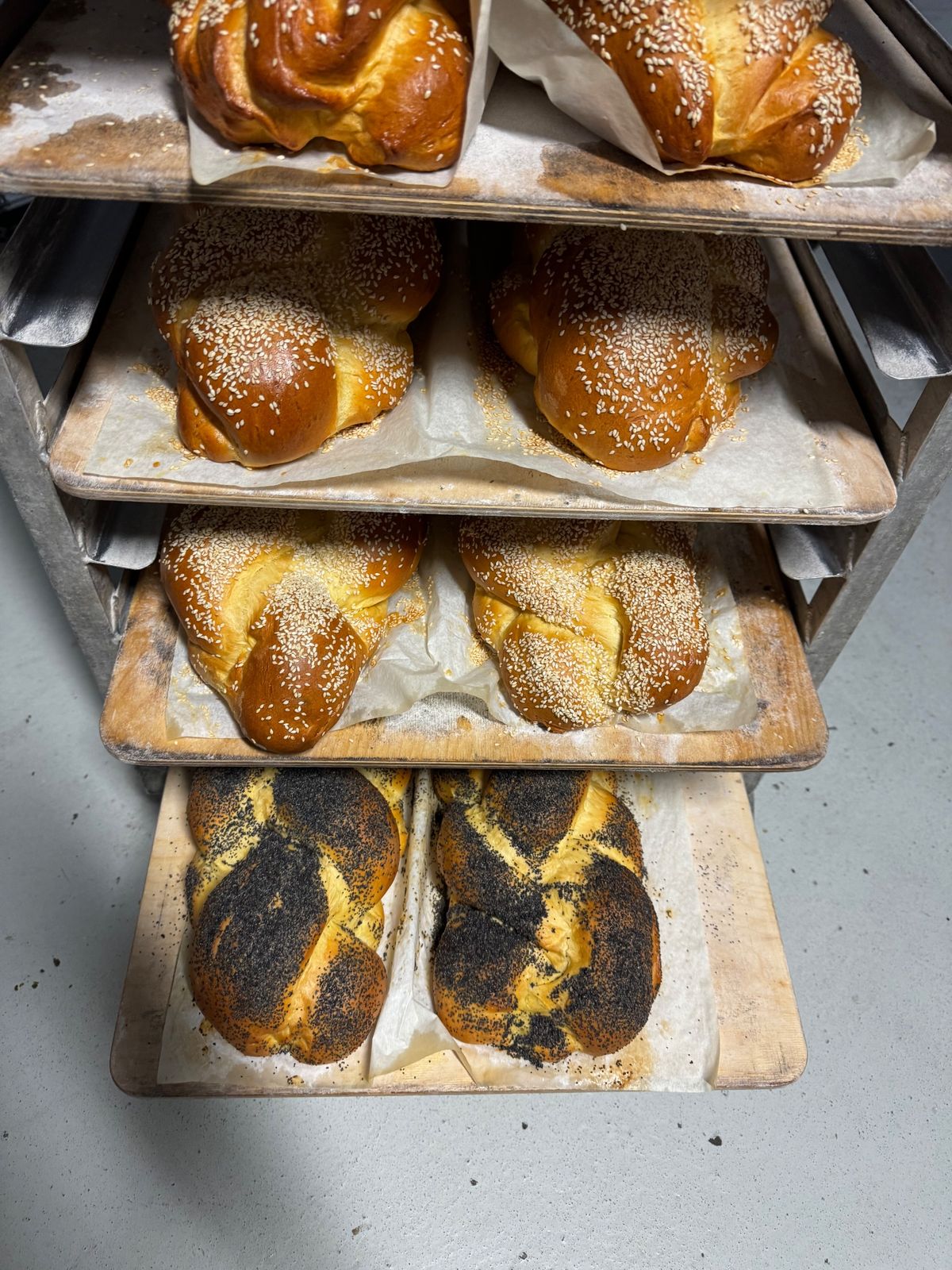 Fresh braided challahs cooling on the bakery rack
