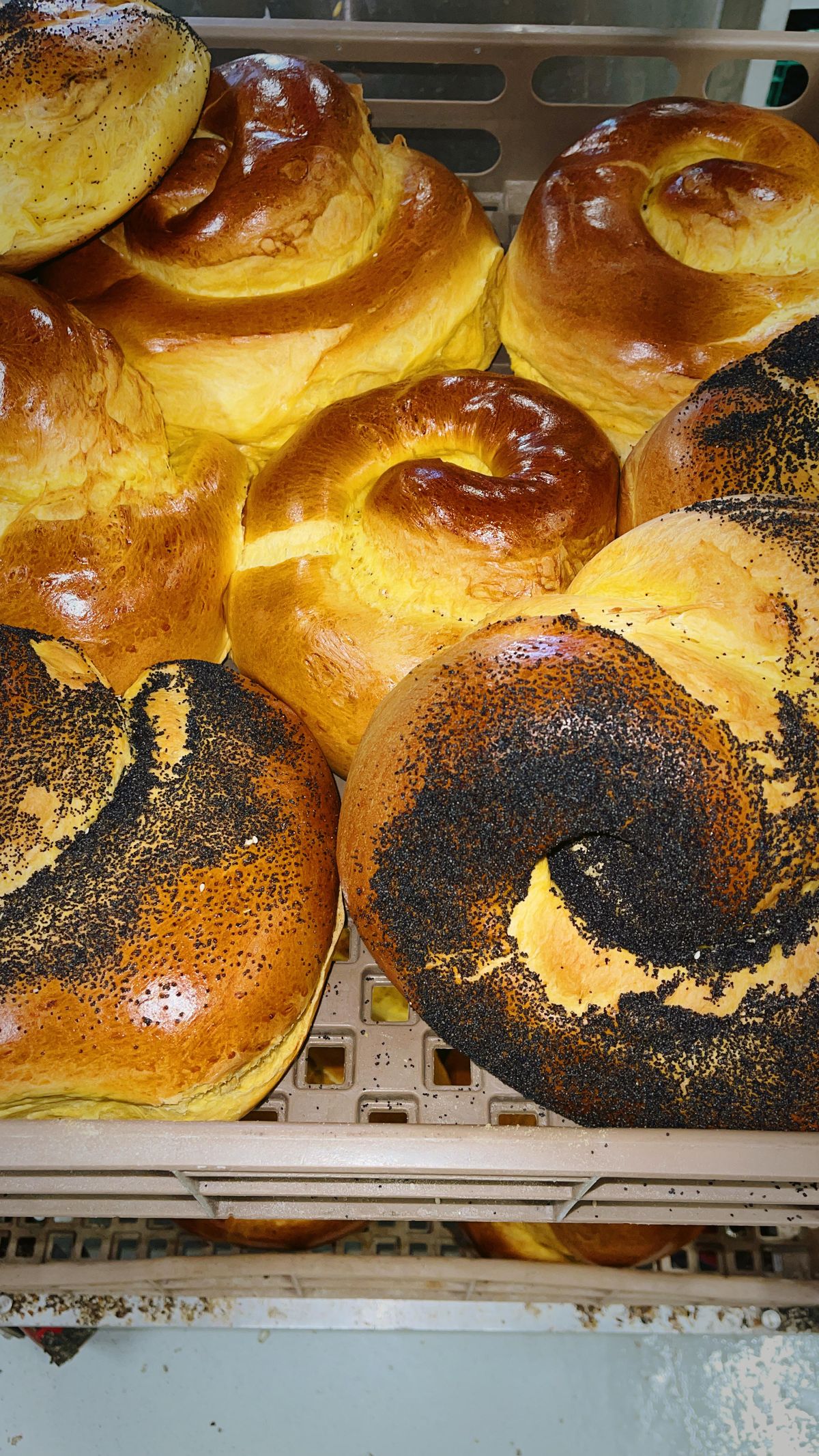 Round poppy seed challahs for the holidays