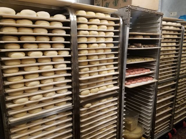 Bagel / Bialy