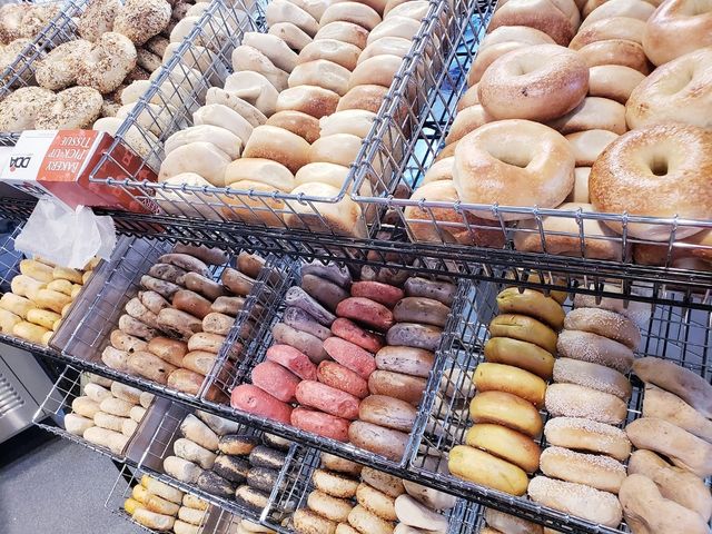 Dozen Bagels / Bialys