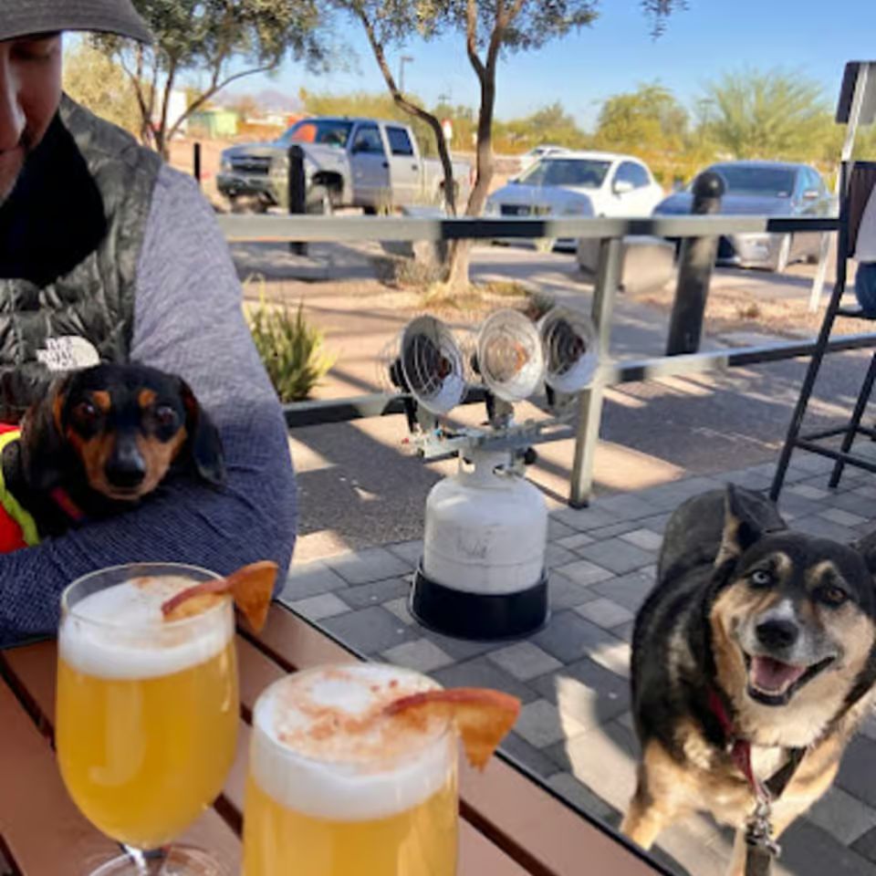 Pups hanging out with their humans and pup drinks on the patio