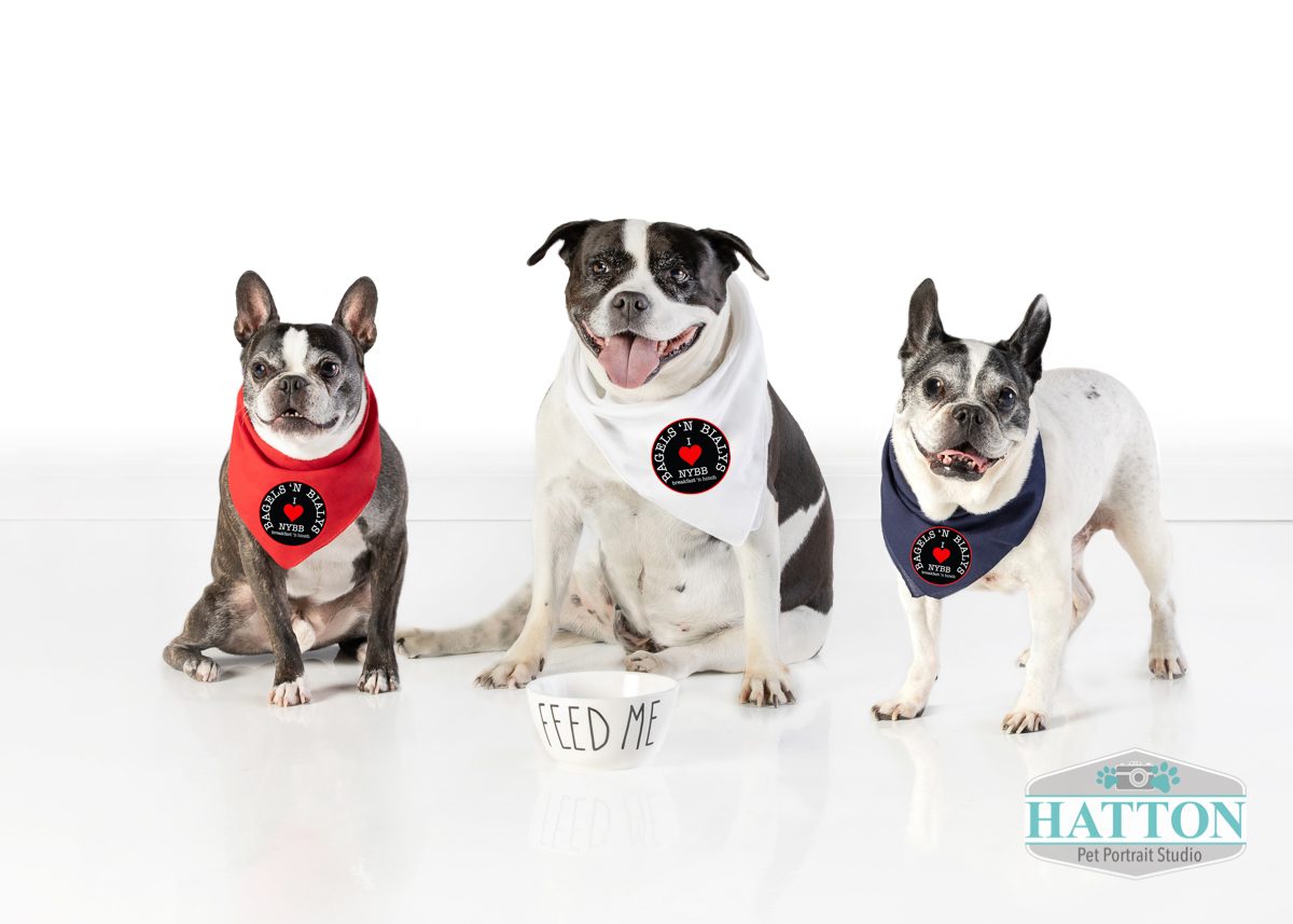Three pups wearing NYBB bandanas with a 'Feed Me' bowl