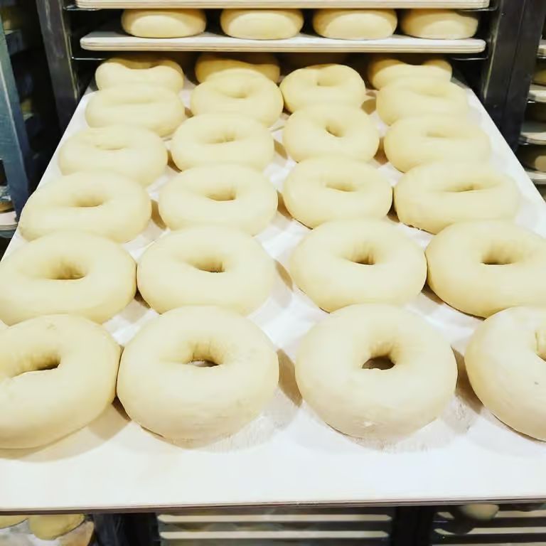 Fresh bagel dough, shaped from scratch every day